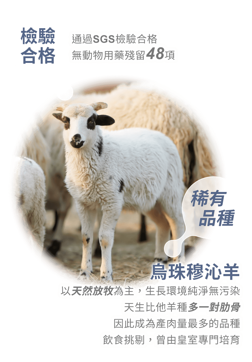 烏珠穆沁羊